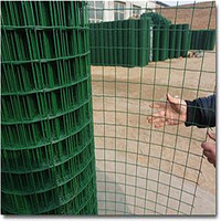more images of holland wire mesh