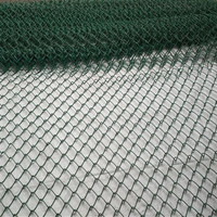 more images of coated chain link fence