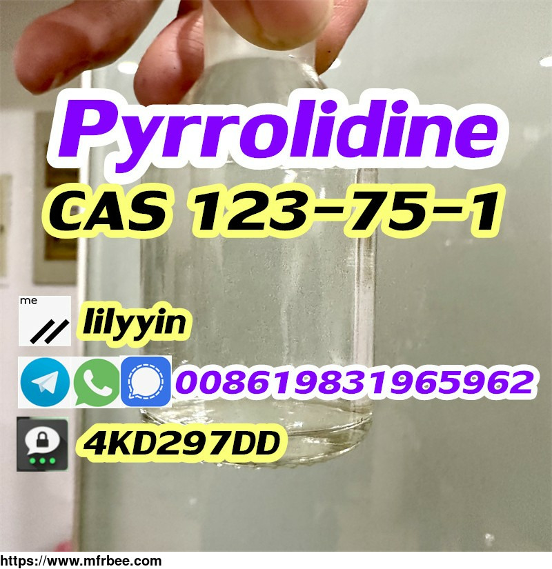 sale_factory_pyrrolidine_cas_123_75_1_kazakhstan_russia