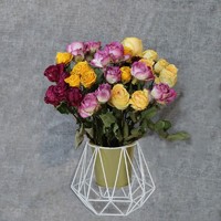 Metal flower stand with gold pot
