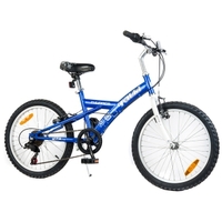20 inch Kid Bike (TK20XY6VSPB)