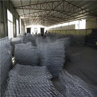 more images of gabion box