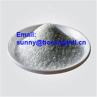 CAS 16648-44-5，BMK Glycidate powder sunny(@)bosangintl.cn