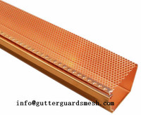 more images of Drop in Gutter Guard