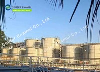 Customized Anaerobic Digester With Super Corrosion Resistance And Long Service Life