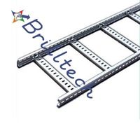 more images of Ladder Cable Tray
