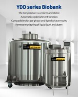 Benin KGSQ liquid nitrogen cryogenic freezers YDD-350