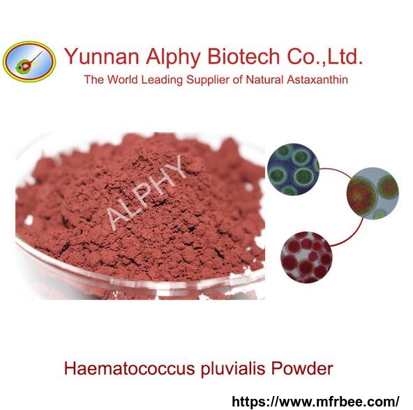 2_percentage_astaxanthin_powder_100_percentage_natural_haematococcus_pluvialis_powder_plant_extract
