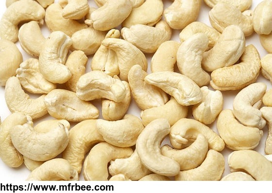 raw_cashew_nuts