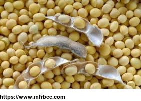 soybeans_and_beans