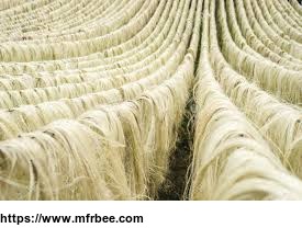 sisal_fiber_and_rope_for_sale
