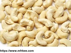 cashew_nuts_kenels