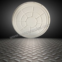 Alumina ceramic Disc