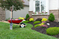 more images of Local Landscaping Pros