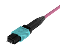 MPO-MPO 12F OM4 Trunk Cable 3.0mm