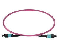 more images of MPO-MPO 12F OM4 Trunk Cable 3.0mm