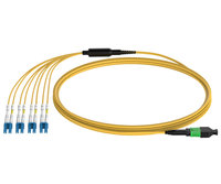 more images of MPO-LC fanout patch cord