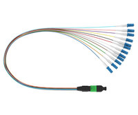 more images of MPO-LC 12F harness cable for cassette