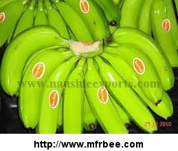Offer To Sell Green Cavendish Fresh Banana