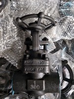 more images of Class150 DN50 API WCB Flanged Gate Valve