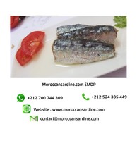 more images of Authentic Moroccan sardines