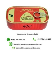 Moroccan Sardines distributors,