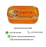 Moroccan Sardines distributors,