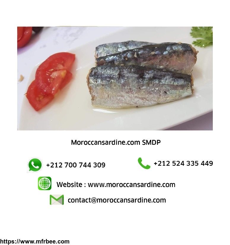 moroccan_sardines_producers_