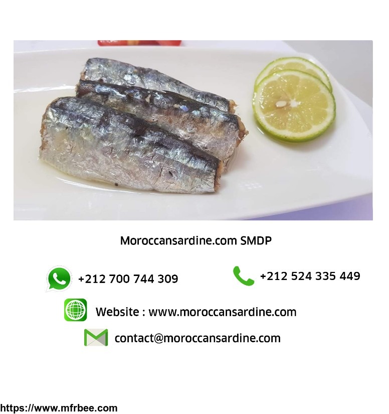 wholesale_moroccan_sardine