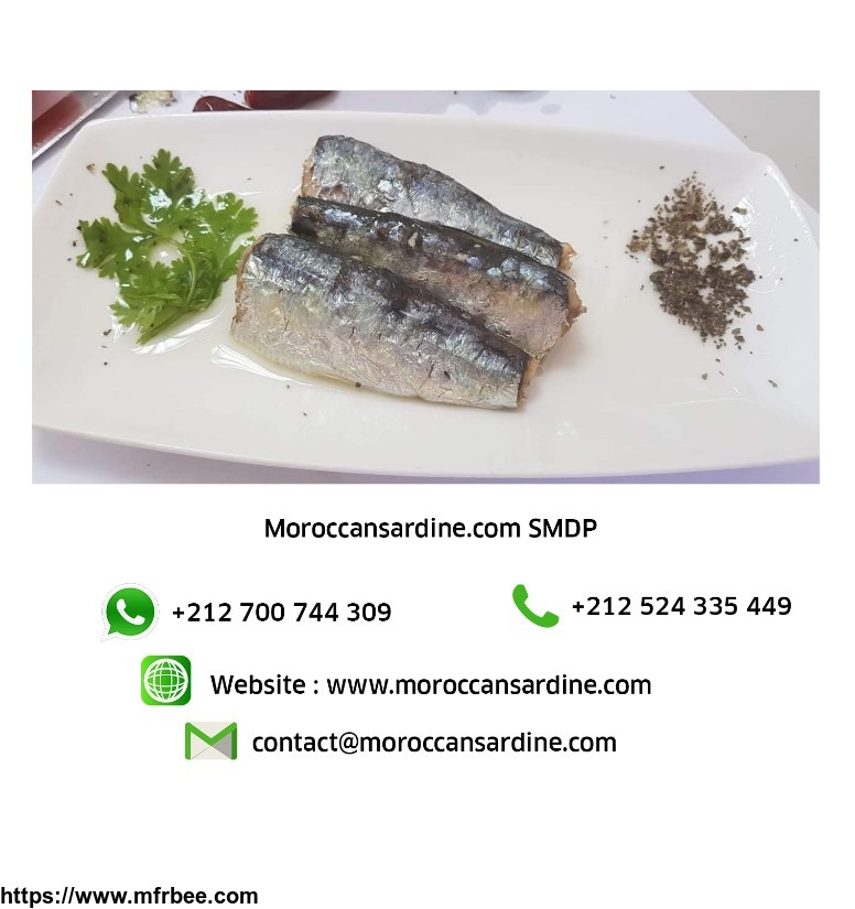 moroccan_sardines_export