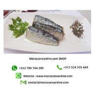 more images of Moroccan sardines export