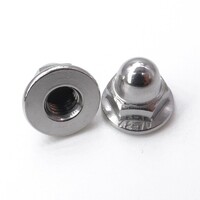 more images of Custom DIN1587 Zinc plated Carbon SteelSteel Acorn Nut flanged hex cap nuts