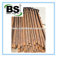 Round shaft Helical Screw Piles for Cabin