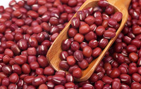 Ormosia/Red Beans