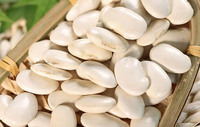 more images of Large White Kidney Beans