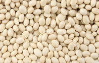 more images of Pearl Bean/White Kidney Bean/White Beans