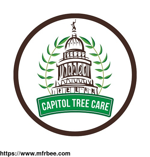 capitol_tree_care