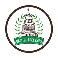 more images of Capitol Tree Care