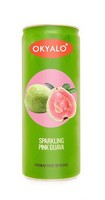 Okyalo 250ML Organic Guava Fruit Juice, Okeyfood