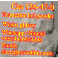Find 99% tetracaine hcl powder China supplier (whatsapp/signal:+8619930503208 wickr:gldavy)