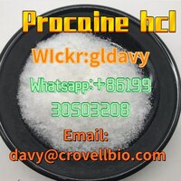 Procaine hcl powder CAS 51-05-8 in stock