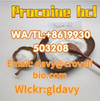 CAS 51-05-8 procaine hcl powder in stock