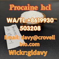 CAS 51-05-8 China manufacturer procaine hcl with fast delivery