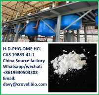 more images of Buy High quality H-D-PHG-OME HCL CAS 19883-41-1 from China manufacturer