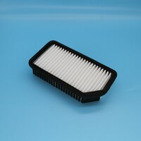 more images of Air Filter LW-1087