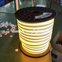 more images of LED Neon Tube Light