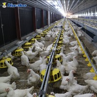 more images of Poultry Farm Equipment Automatic Pan Feeding System for Breeder Chicken