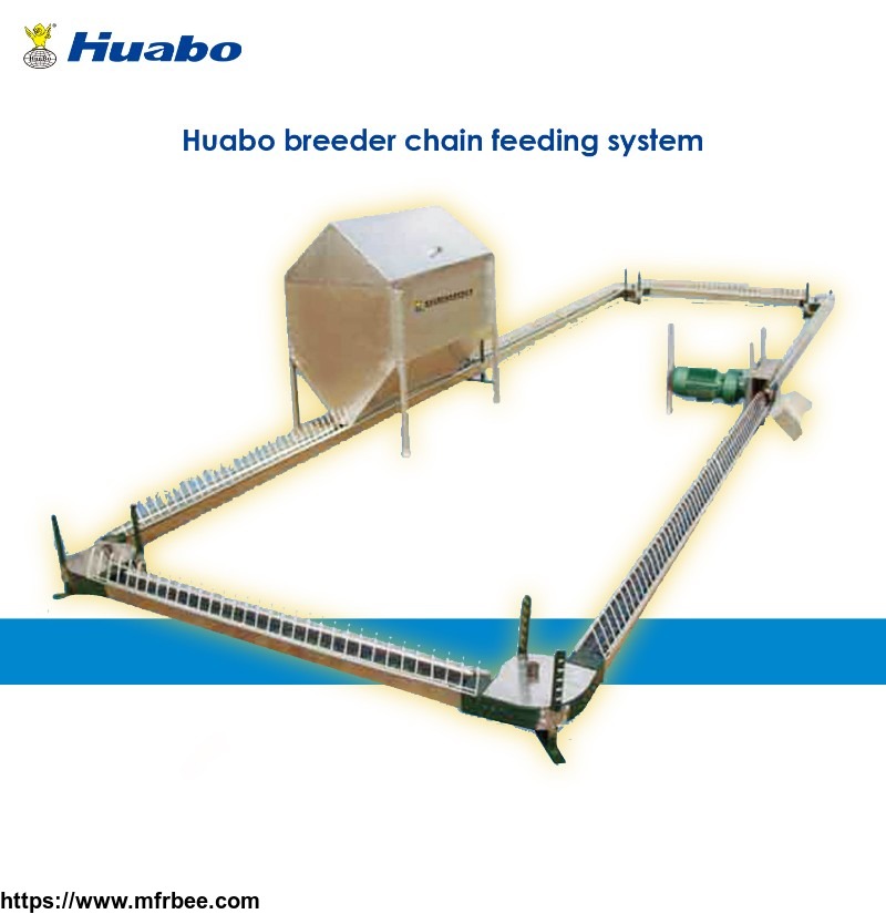 poultry_farm_equipment_automatic_chain_feeding_system_for_breeder_chicken