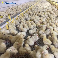 more images of Poultry Farm Equipment Automatic Nipple Watering System