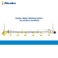 Poultry Farm Equipment Automatic Nipple Watering System